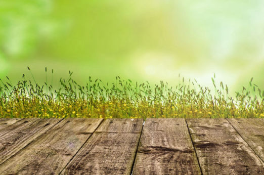 Sutton Consulting and Farm Management